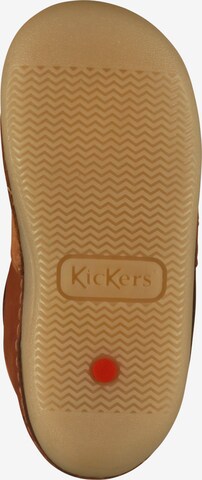 Baskets Kickers en marron