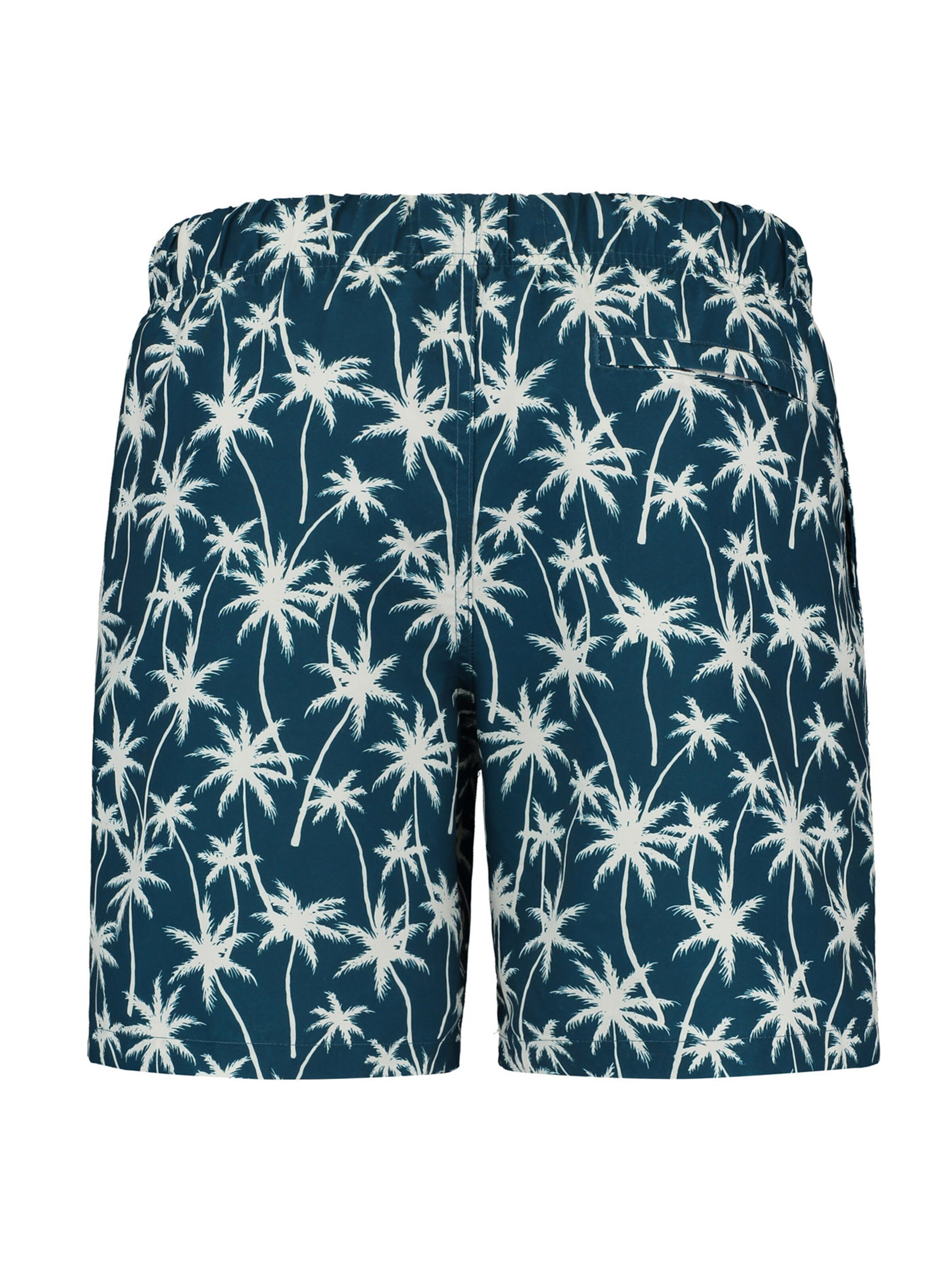 Pantaloncini da bagno di Shiwi in blu