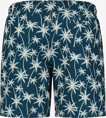 Shiwi Board Shorts in Blue