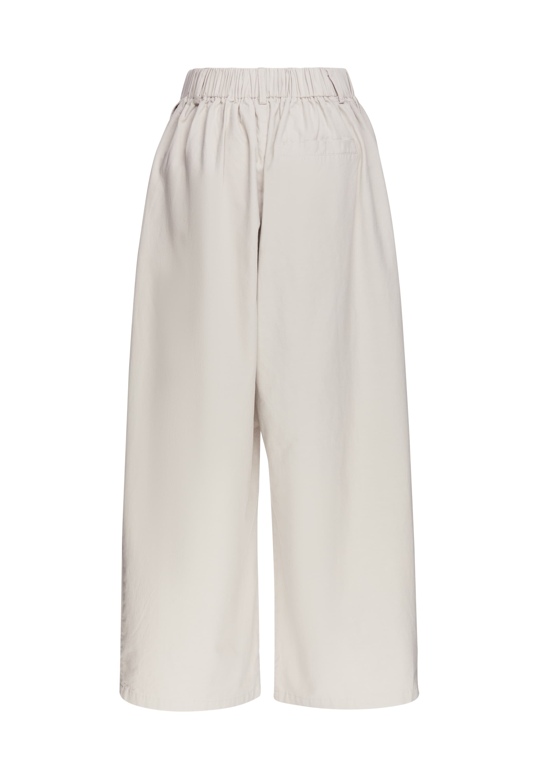 MYMO Wide leg Pleat-Front Pants in Grey