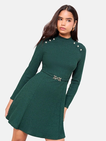 Friends Like These Šaty - Zelená: predná strana