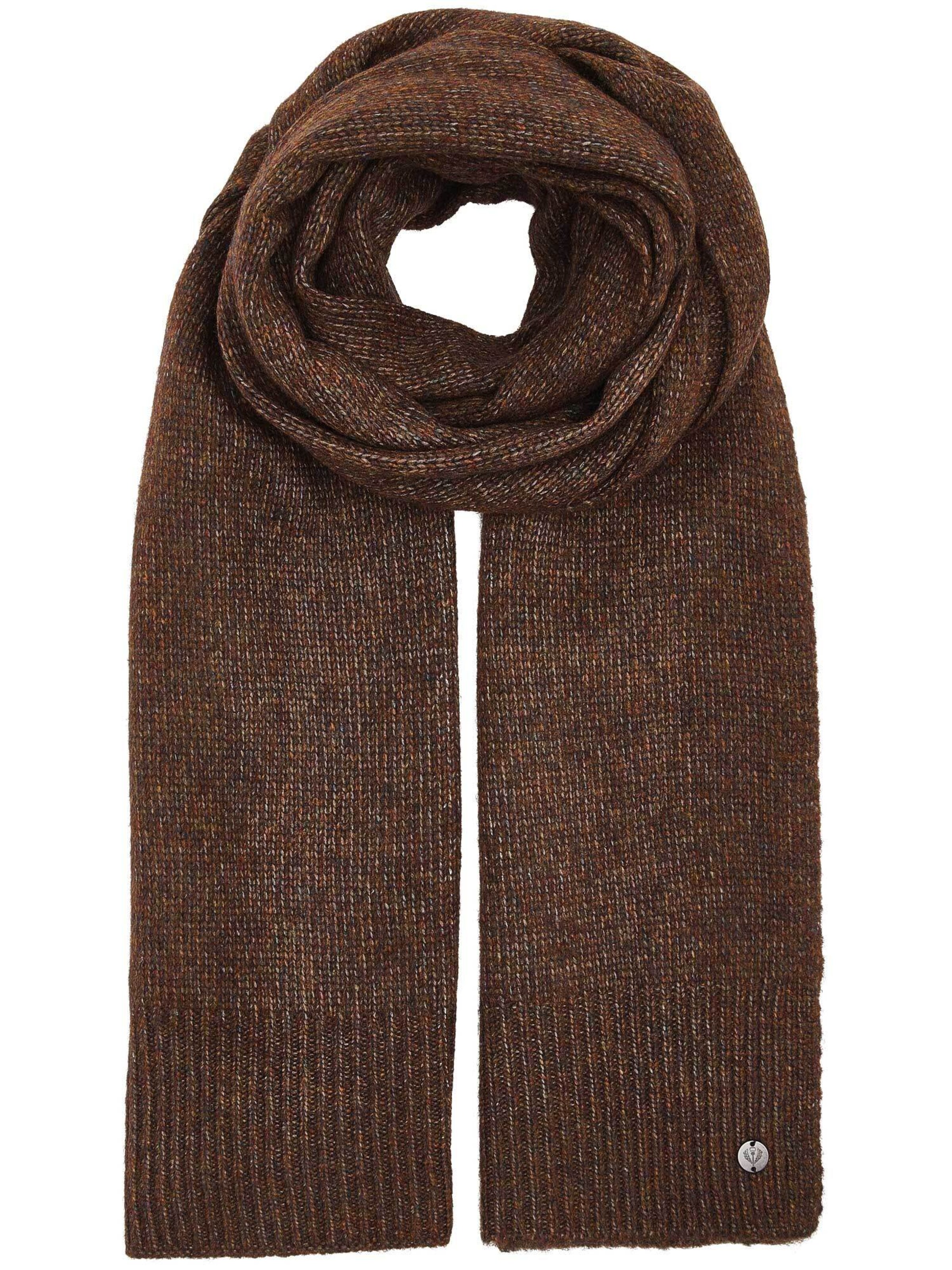 FRAAS Scarf in Brown: front