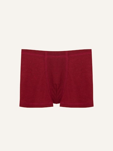 ZUBEK Unterhose in Rot: Vorderseite