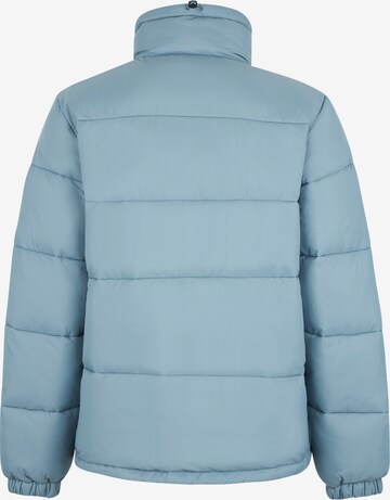 DICKIES Winter jacket 'WALDENBURG' in Blue