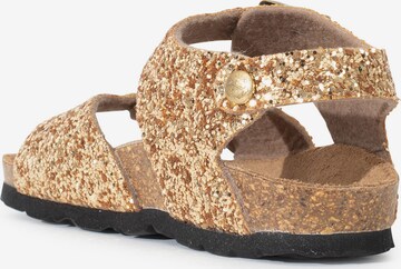 Bayton - Sandalias 'Pegase' en oro