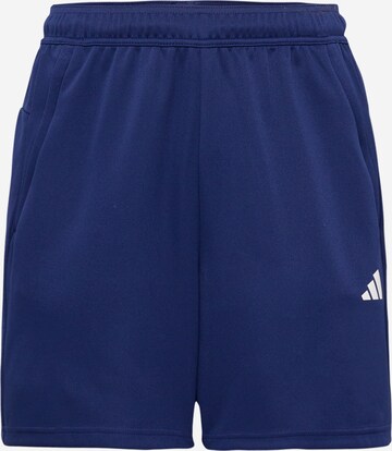 ADIDAS PERFORMANCE Regular Sports trousers 'Train Essentials All Set' in Blue: front