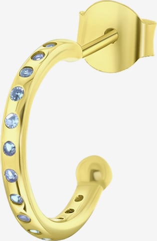 Lucardi Earrings in Gold: front