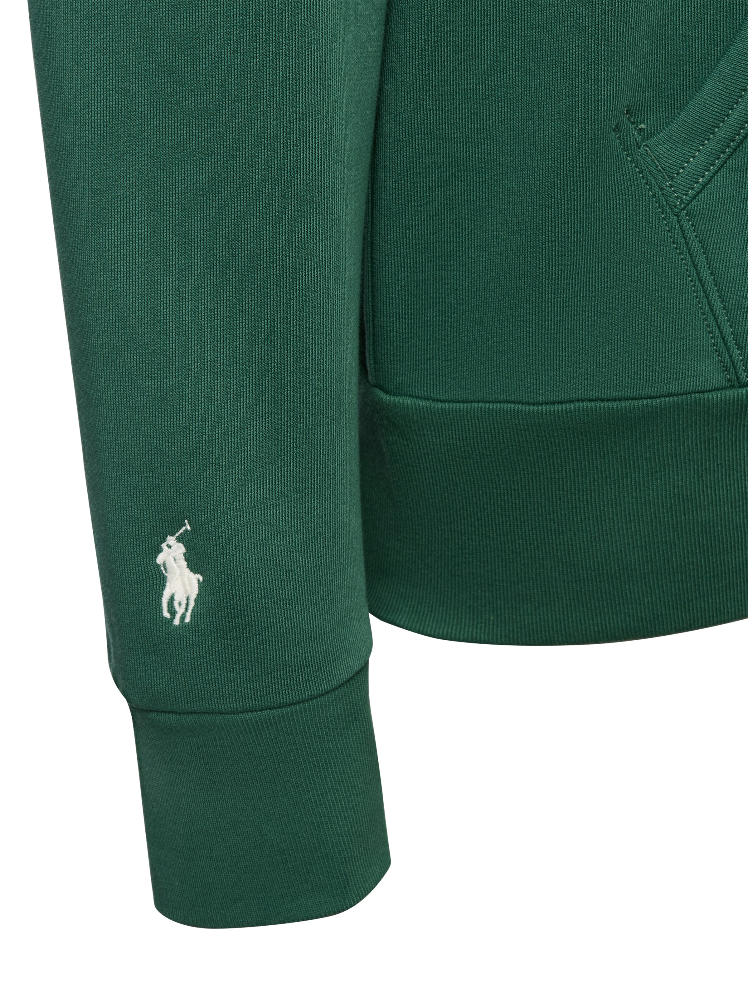 Polo Ralph Lauren Kapuzenpullover in Grün