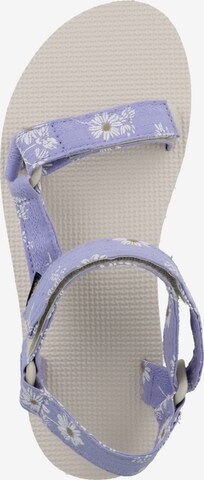 TEVA Strap Sandals in Purple