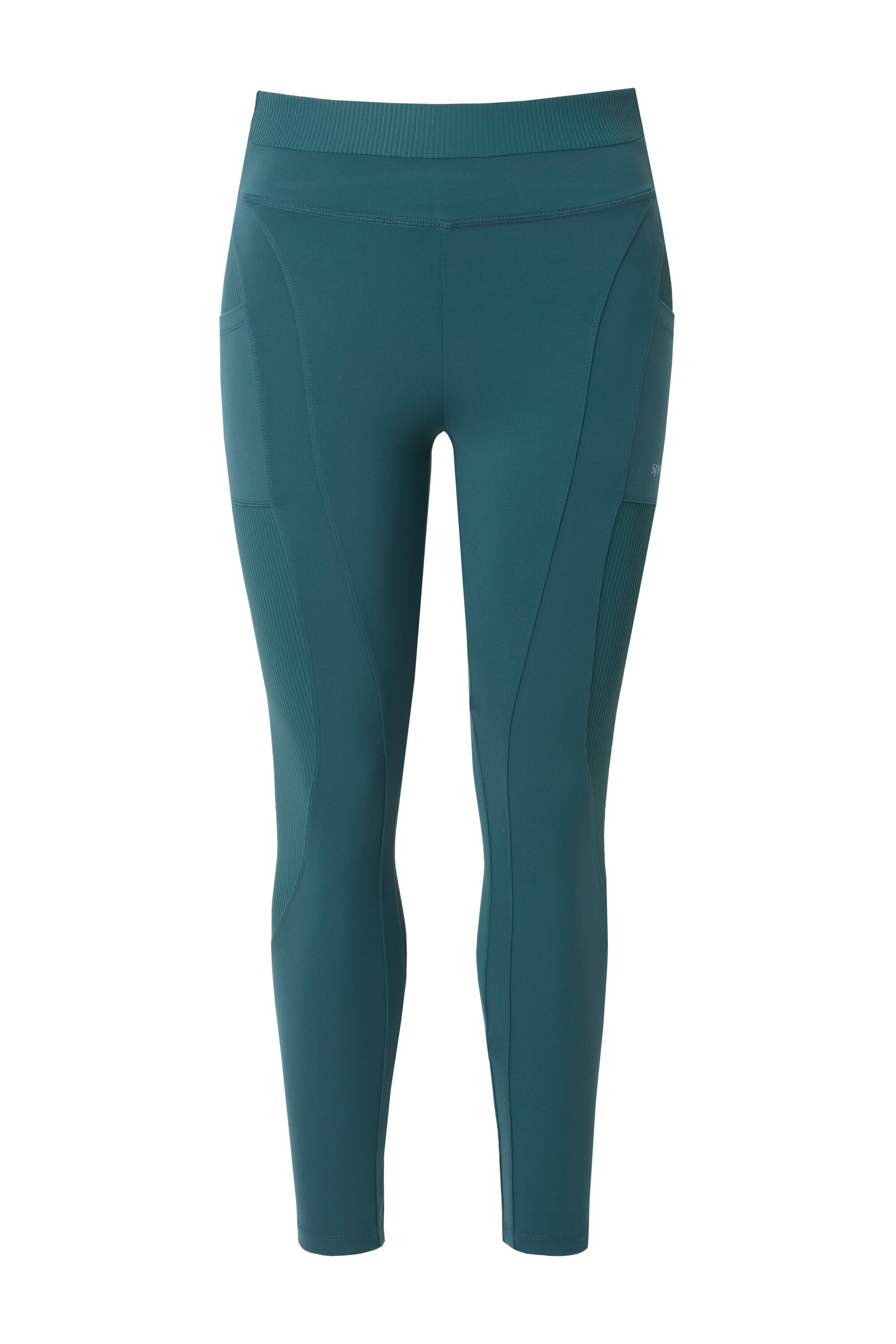 Ulla Popken Skinny Leggings in Blue: front