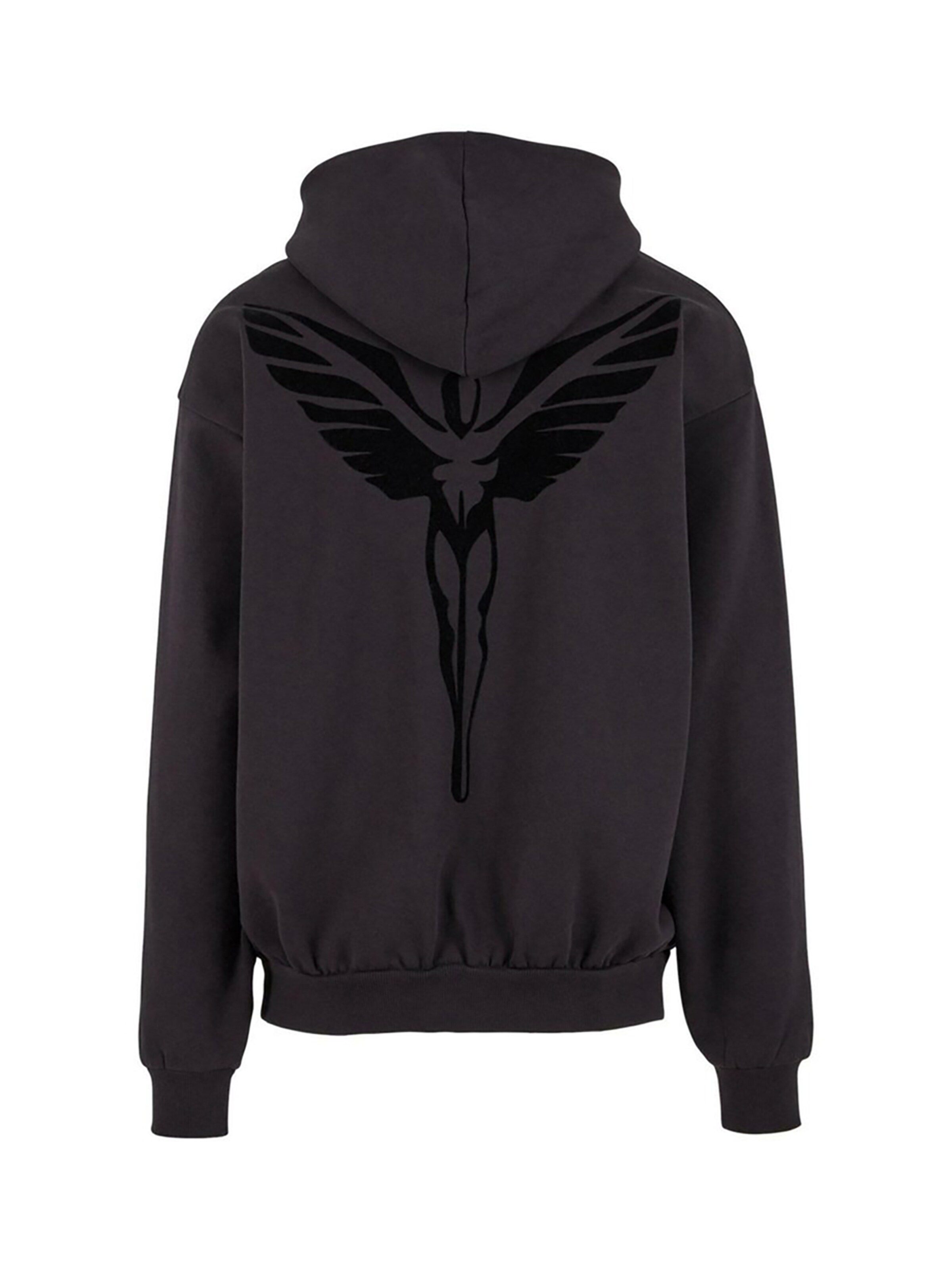 Colucci Pullover 'Premium Ikarus' in Schwarz: Vorderseite