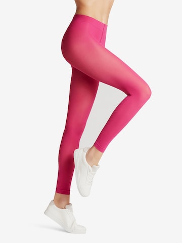 FALKE Fijne panty 'Pure Matt' in Roze: voorkant