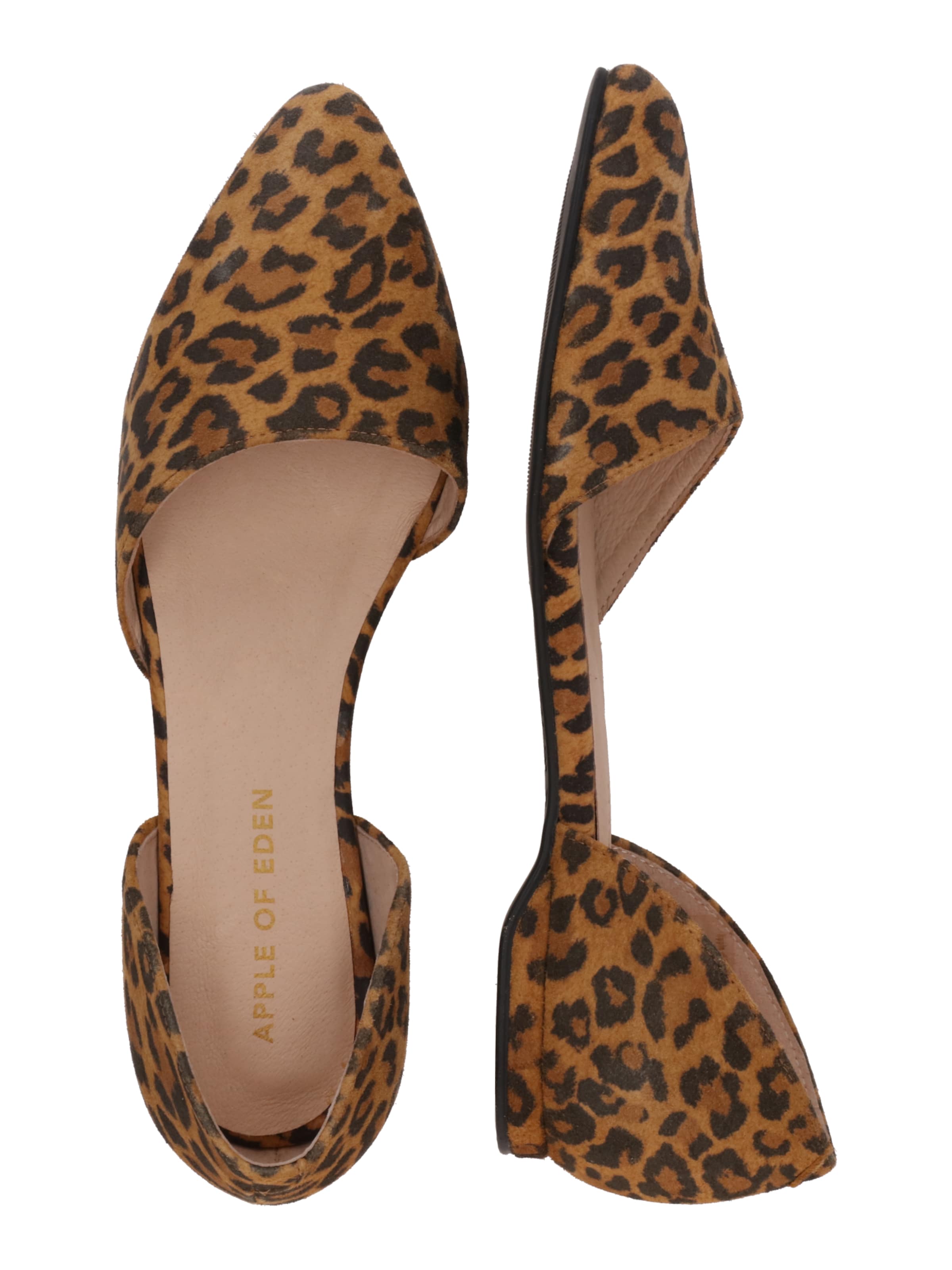 Apple of Eden Ballet Flats 'BLONDIE 31.2' in Brown