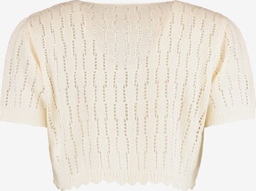 Hailys Knit Cardigan 'Salma' in Beige