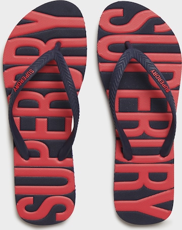 Tongs Superdry en bleu : devant