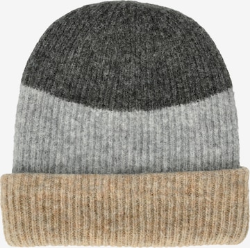 Whistler Beanie 'Valeo' in Beige: front