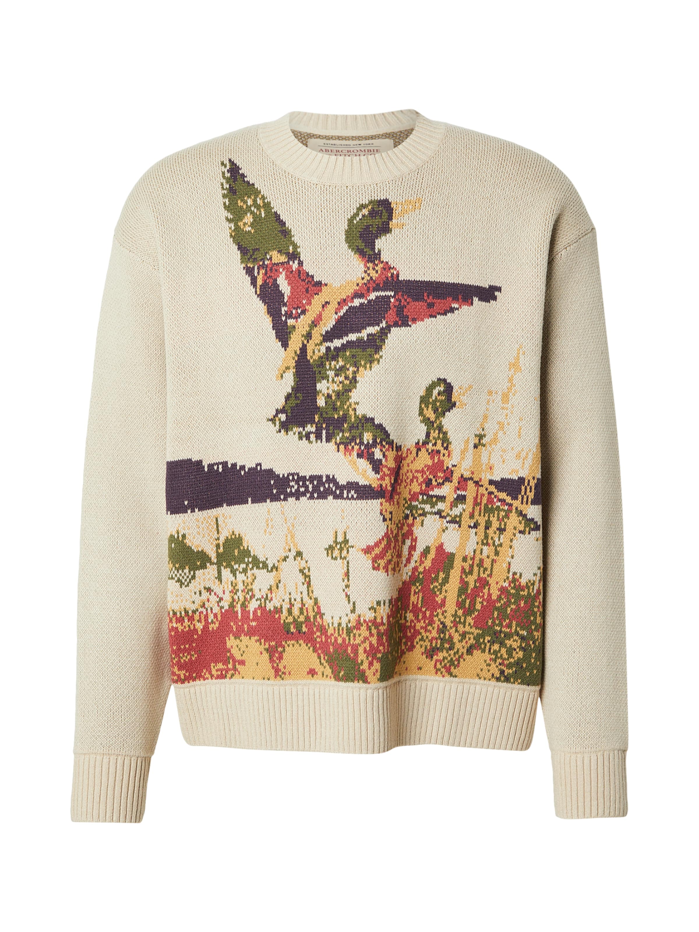 Pull-over 'DUCK' Abercrombie & Fitch en gris : devant