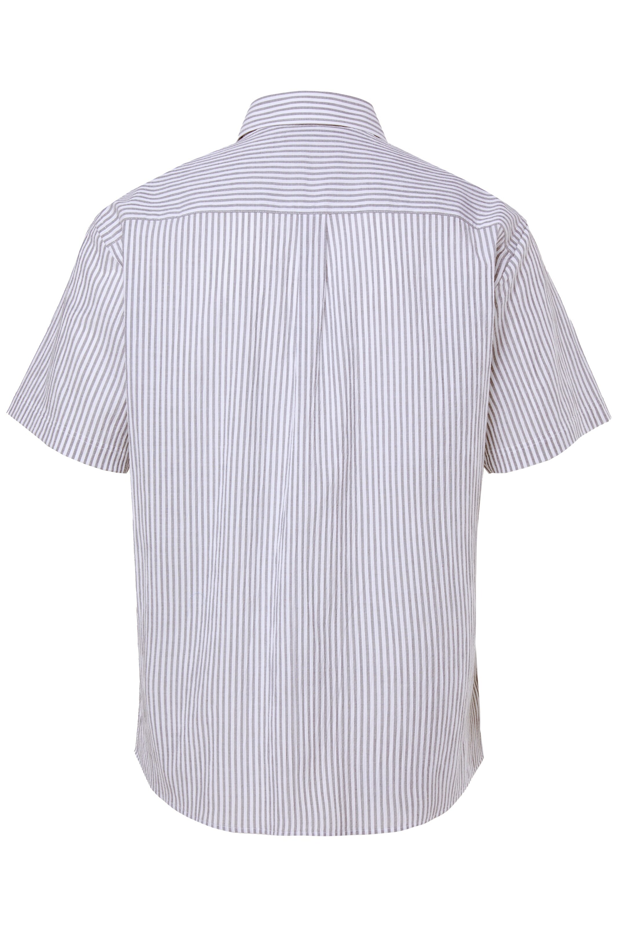 Men Plus Regular fit Button Up Shirt in Blue