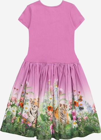 Molo Kleid 'Cissa' in Pink