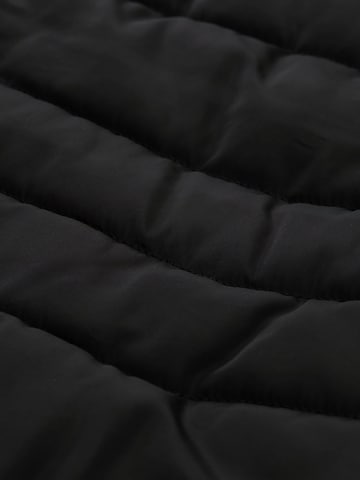 TOM TAILOR Winter Coat in Black