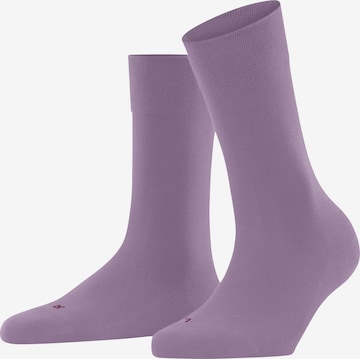 FALKE Socken 'Sensitive London' in Lila: Vorderseite