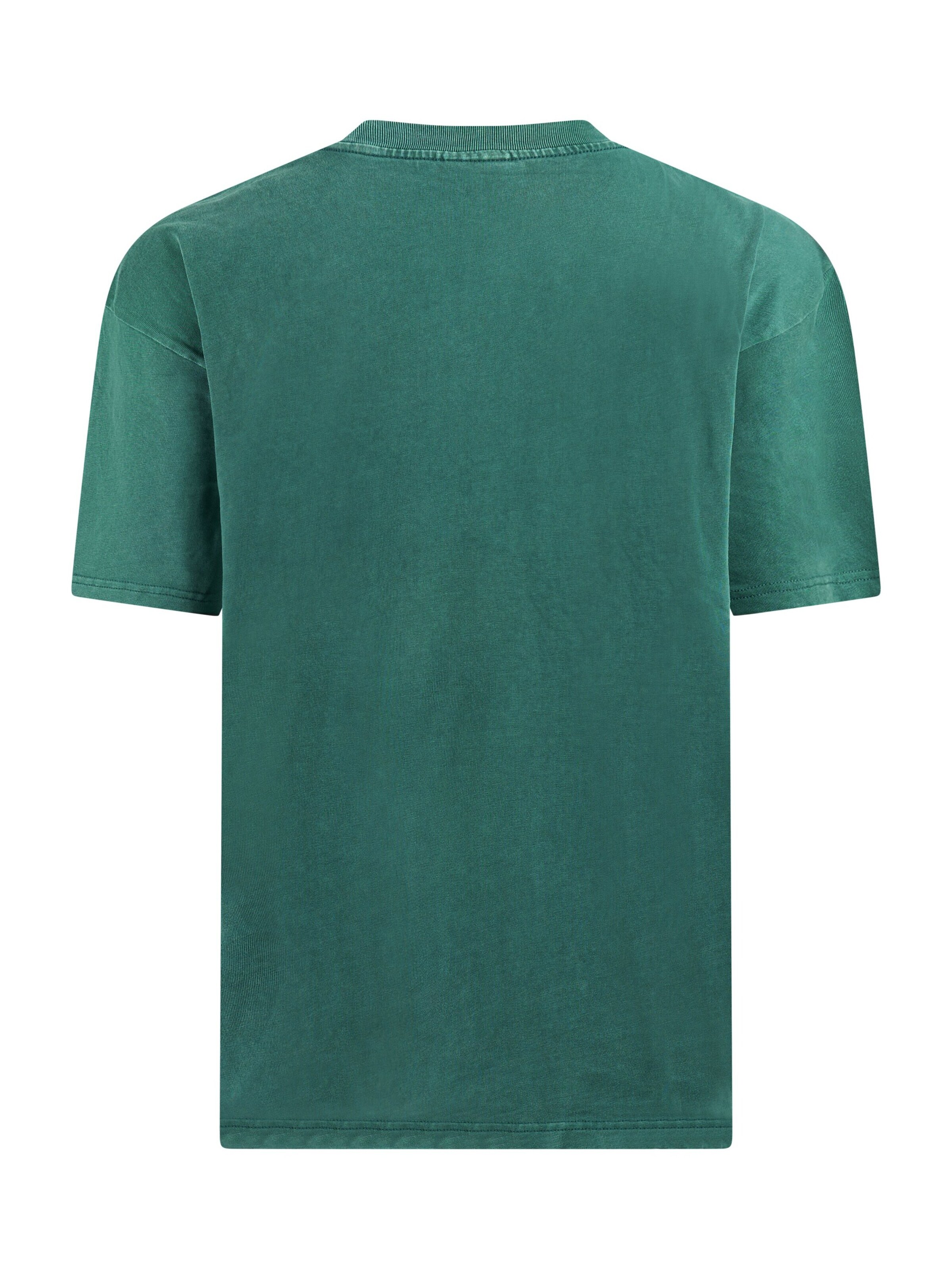PROTEST Shirt 'PRTMATT' in Groen