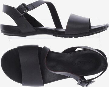 TIMBERLAND Sandals & High-Heeled Sandals in 37,5 in Black: front