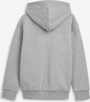 TOMMY HILFIGER Sweatshirt in Grey