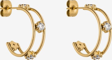 PURELEI Earrings 'Star' in Gold: front