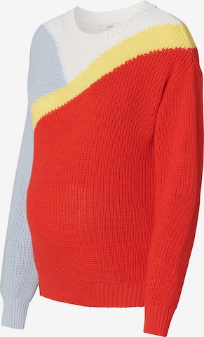 Esprit Maternity Sweter w kolorze czerwony: przód