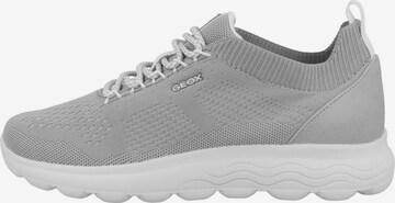 GEOX Platform trainers 'Spherica' in Grey