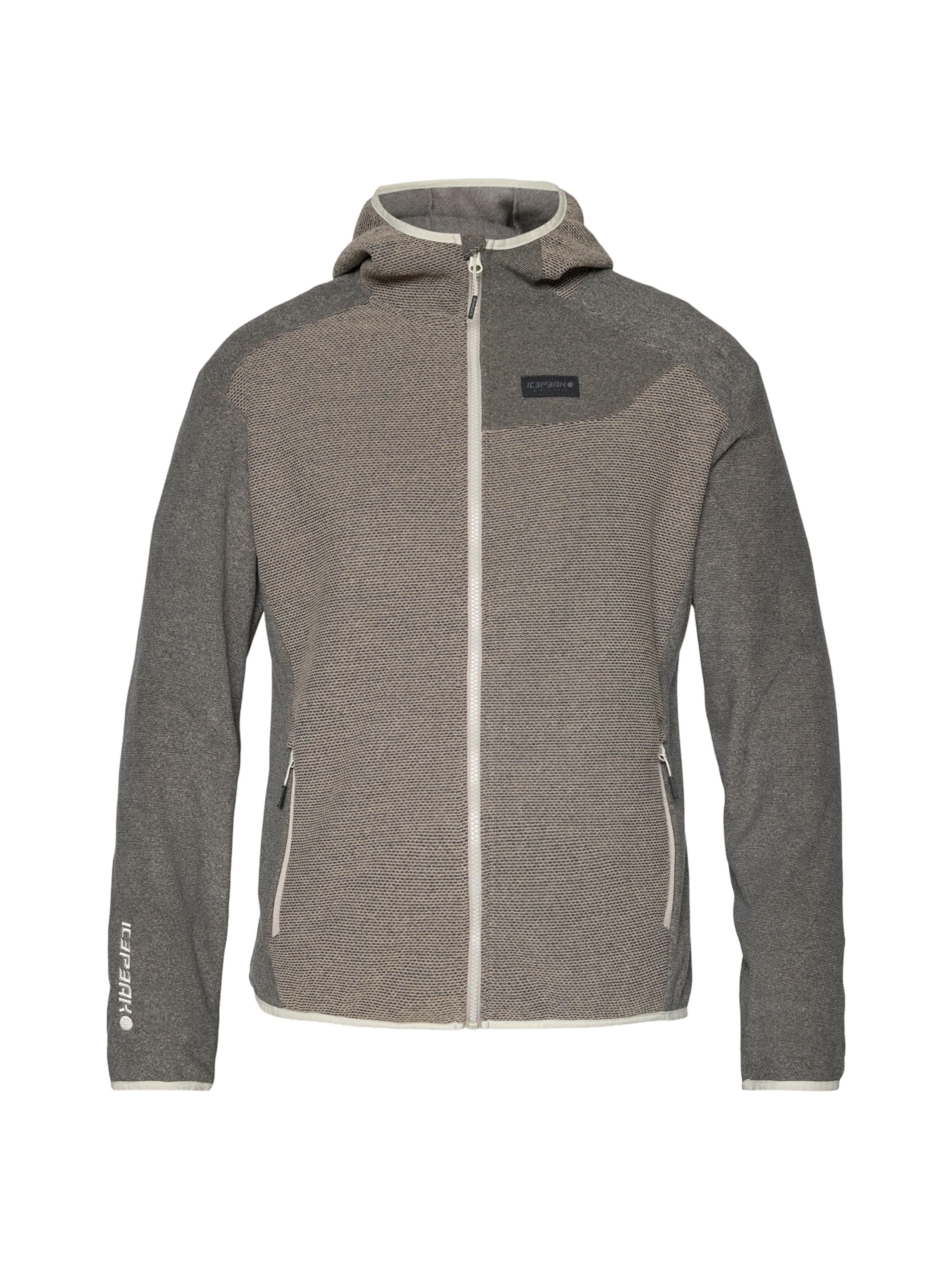 ICEPEAK Athletic fleece jacket 'BOLIVAR' in Grey: front