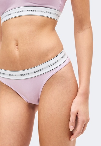 GUESS Thong 'CARRIE' in Purple