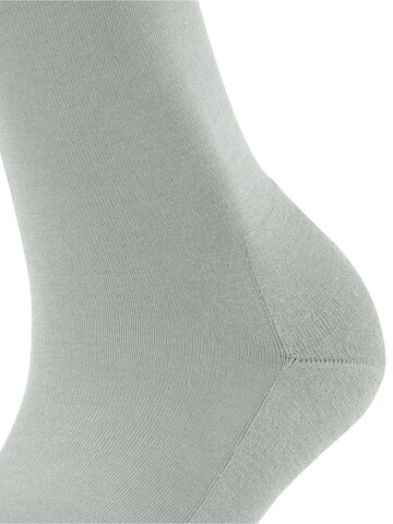 FALKE Socks 'ClimaWool' in Silver