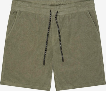 Le Temps Des Cerises Regular Broek 'Erato' in Groen: voorkant