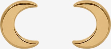 Boucles d'oreilles 'Mond' Stilnest en or : devant