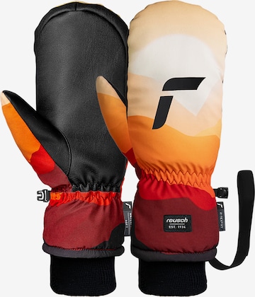 REUSCH Sporthandschoenen 'Carter R-TEX® XT Mitten' in Gemengde kleuren: voorkant