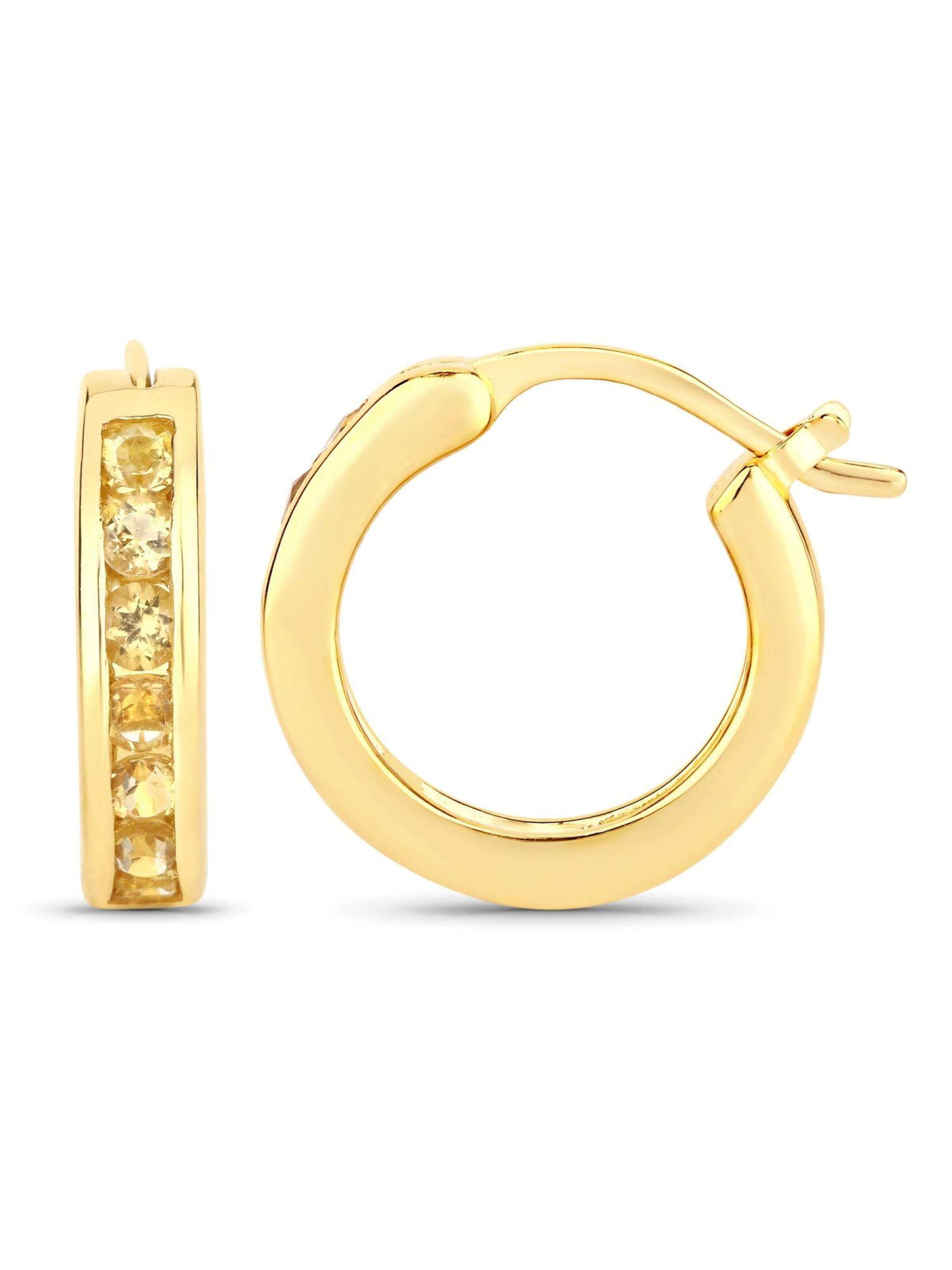 Rafaela Donata Oorbellen in Goud