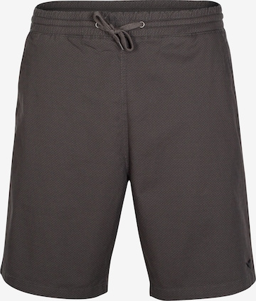 Regular Pantalon 'Love'n Relax' Iriedaily en gris : devant