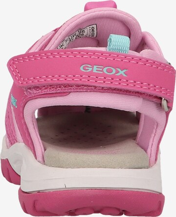 GEOX Sandals in Pink