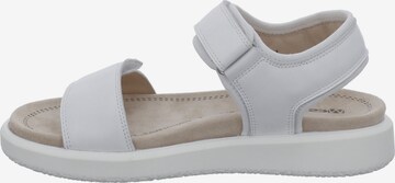 Westland Sandals 'Albi 01' in White
