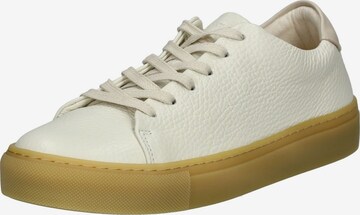 Baskets basses Sneaky Steve en beige : devant