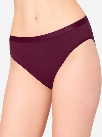 Nur Die Slip ' Mini ' in Mischfarben