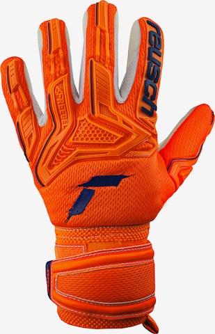 REUSCH Torwarthandschuhe 'Attrakt' in Orange