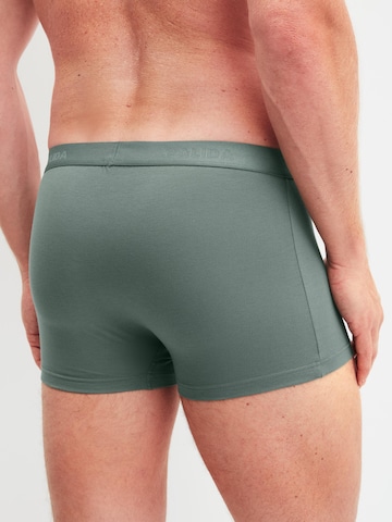 CALIDA Boxer shorts 'Evolution' in Grey