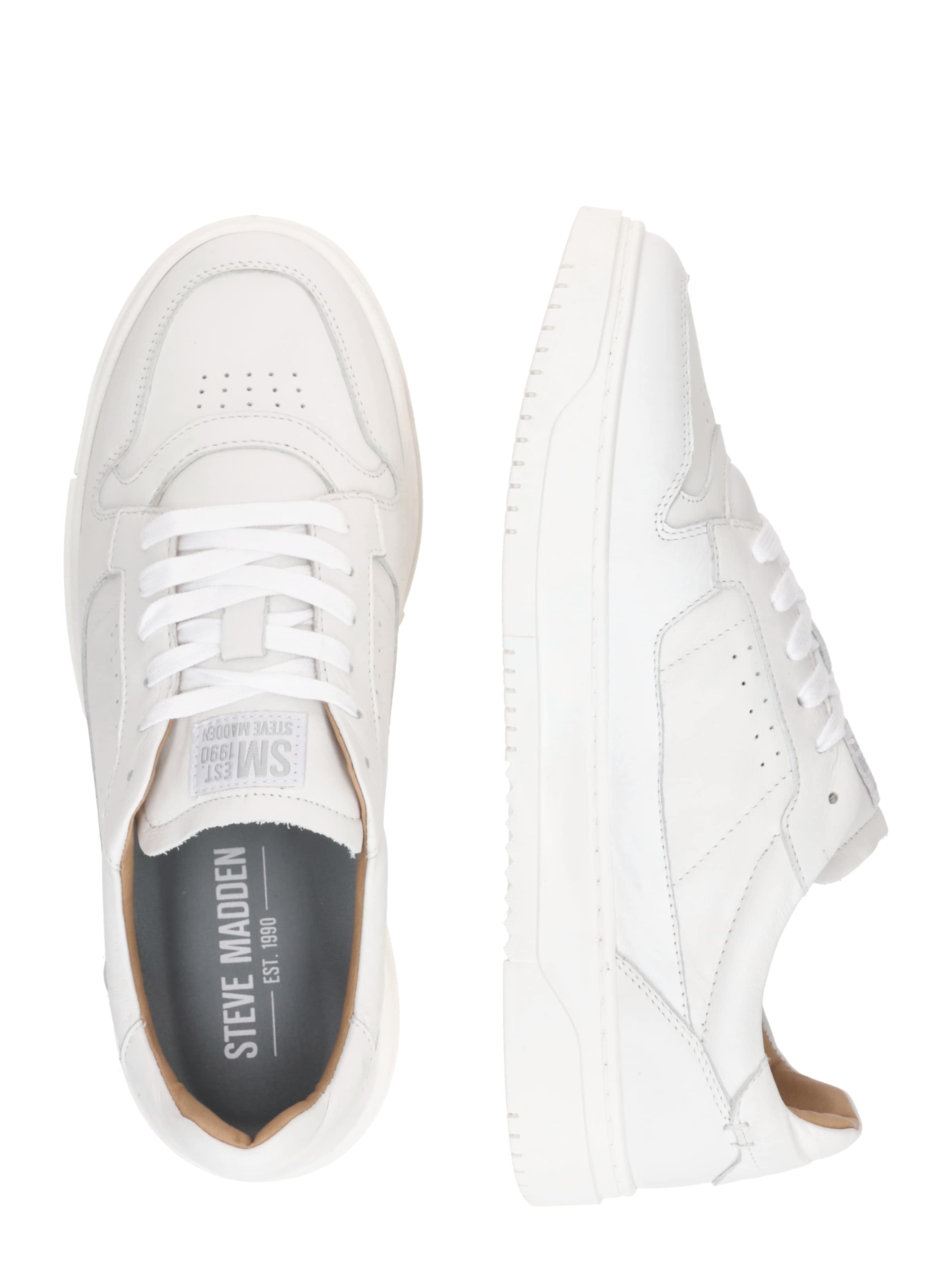 STEVE MADDEN Låg sneaker 'Cliff' i vit