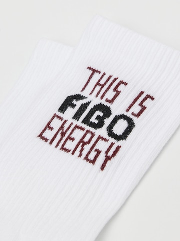 CALZEDONIA Socks in White