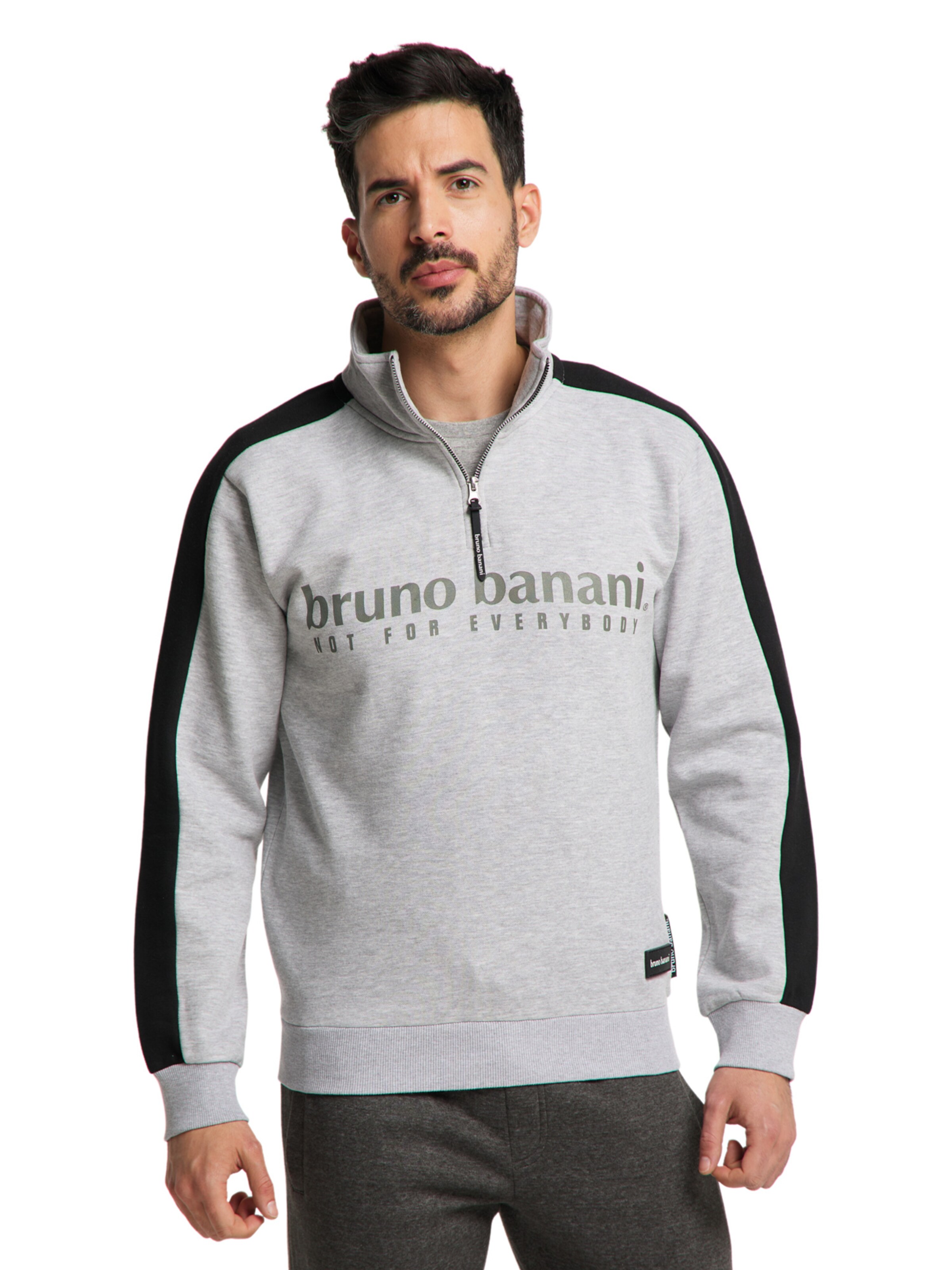 Bruno Banani Sweatshirt 'ANTHONY' in Grijs: voorkant