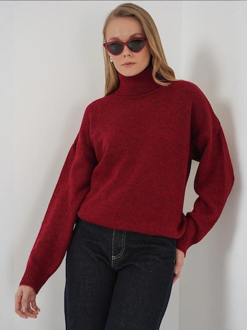 Bigdart Trui in Rood