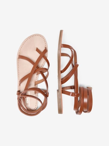 ONLY - Sandalias con hebilla 'ONLMINO-1' en marrón